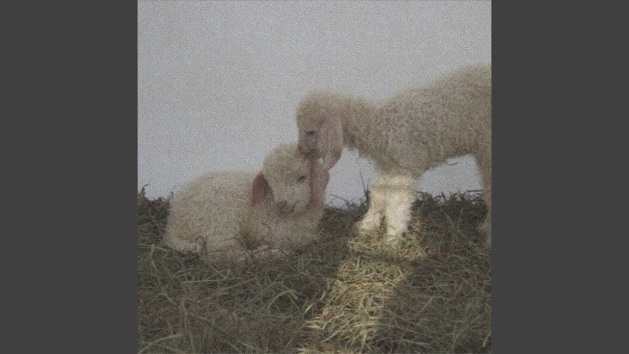 Watch tenderness on YouTube Watch tenderness on YouTube