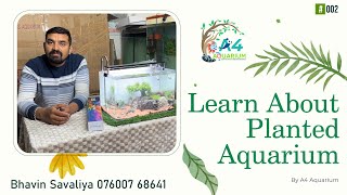 A Perfect Tutorial to Start Your FIRST Planted Aquarium set up by A4 Aquarium | #plantedtank
