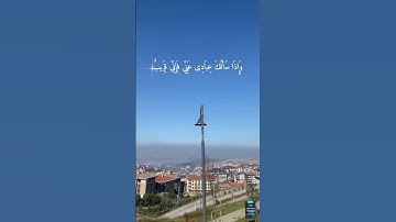 راحة نفسية❤️.  #تلاوة #تلاوة_خاشعة #تلاوة_هادئة ‎#القرآن_الكريم