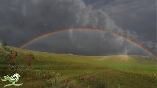 Peder B. Helland - No Worries