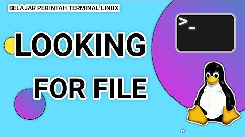 Mencari File - Belajar Perintah Terminal Linux Turunan Debian | CLI Linux