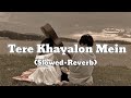 Tere Khayalon Mein | Hindi Romantic Song | Official Bollywood Song | (Slowed+Reverb)