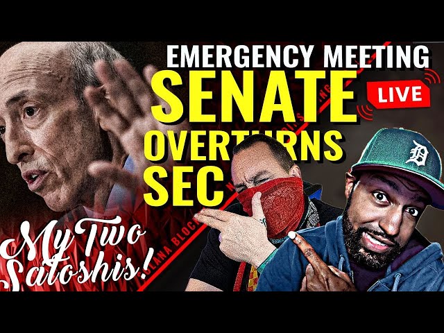 Senate Flips the Bird at SEC! Custody Battle Heats Up as Biden Threatens VETO! w/ RiceTVx!)