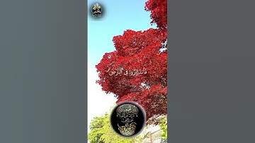 تلاوة خاشعة ومؤثرة💙🎧 #quran_kareem🌹 *جمعة مباركة بذكر الله والصلاة على رسوله*🌹