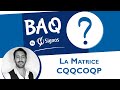 BAQ - La Matrice CQQCOQP #BAQSignos