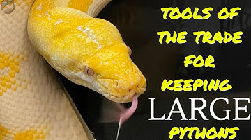 What Supplies Do You Need For Keeping Reticulated Pythons? ----  Wildfire Retics