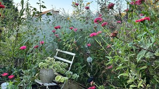 October Garden Tour🍂 Fall Blooms🌸 Seed Saving 🌻