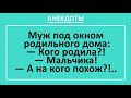 Сборник анекдотов смешных до слез! Муж в роддоме: на кого похож сын?.. Жизненные анекдоты! Выпуск 54