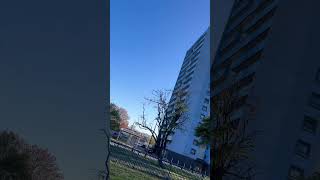 Subhan Allah! Birds are flying in the blue skies ❤️