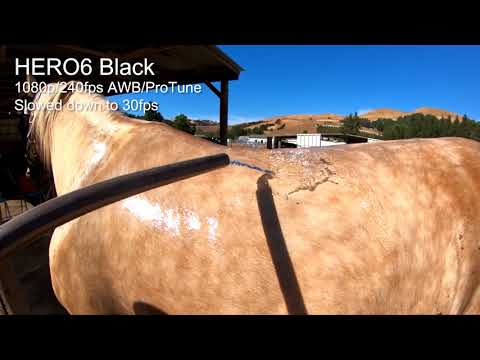 GoPro HERO6 Black Slo-Mo Tests 120/240fps