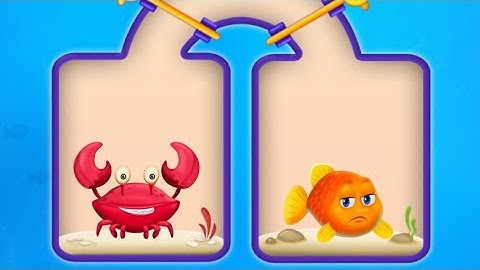 Save The Fish🦈Gameplay Video | Fishdom ads Video | Fishdom Mini Games Ads All Levels-Help Fish #004