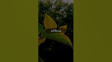 عينا فيها تسمي سلسبيلا سورة الأنسان الشيخ محمد اللحيدان