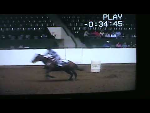 SOLD!! FOR SALE: Teri Spence & Firewaters Foxy Lady - MN State Fairgrounds 2008