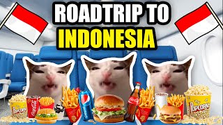 CAT MEMES: FAMILY ROADTRIP VACATION COMPILATION