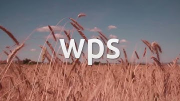 How to install WPS Office 2019 on Zorin OS 16