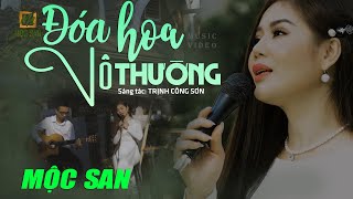 Video thumbnail of "Đóa Hoa Vô Thường - Mộc San (Sáng tác Trịnh Công Sơn) | Nhạc Trịnh Acoustic hay nhất"