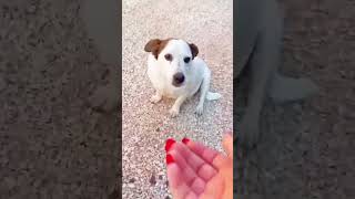 X Info Instagram 327-4976717