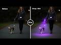 STOP Struggling with Night Walks! 🌙 Retractable LED Dog Leash Review