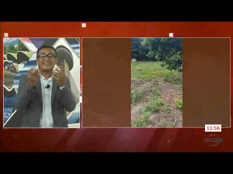 DHPP prende mulheres acusadas de participação no assassinato de empresário em Teresina 24 04 2024