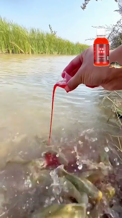 The Power of Fish Attractants: Concentrated Red Worm Liquid #fishing  #fishingvideo #fishingshorts 