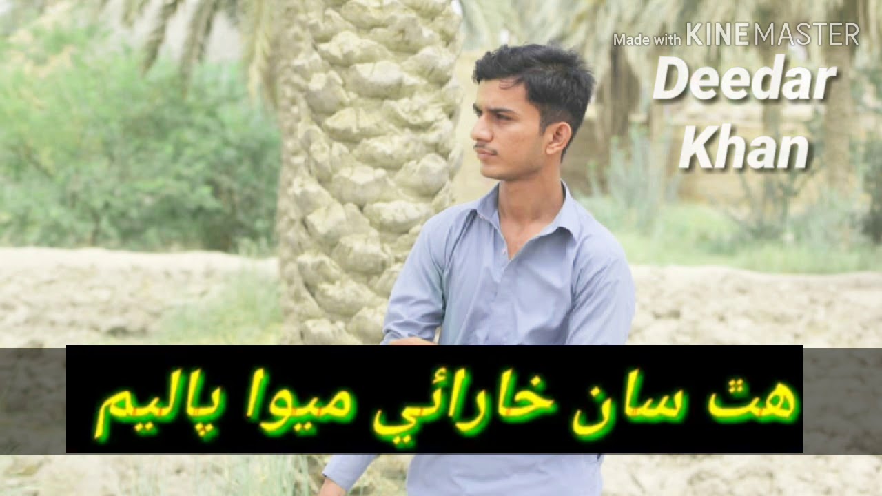 Yaar bi saffa kaariro titirr ho status video mumtaz molai