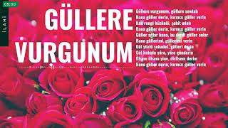 Güllere Vurgunum - Mustafa Demirci Resimi