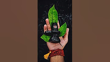 Mahadev Video Status 🔱 Bholenath Status 🕉️ Mahakal Status 📿 #mahadev #bholenath #trending #shorts