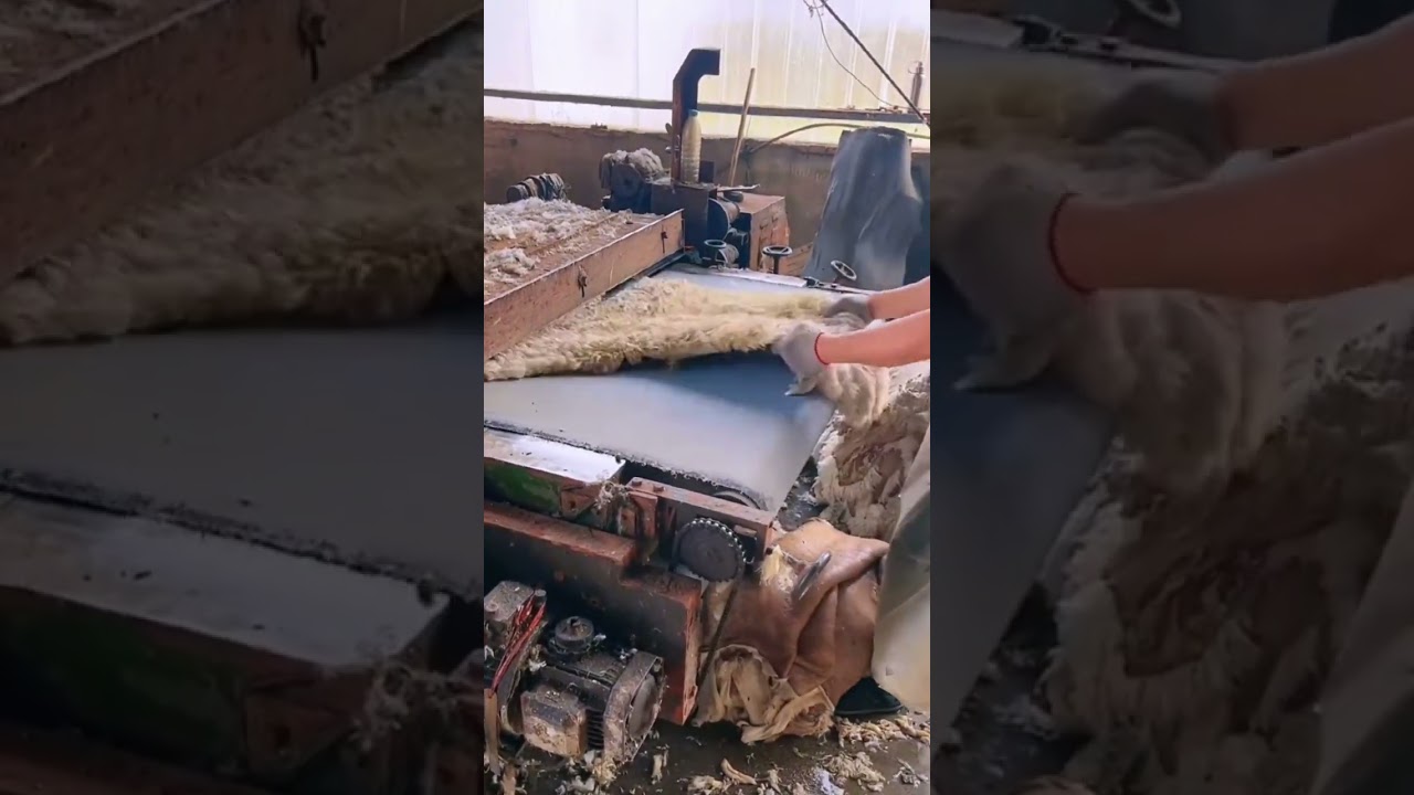 Sheep wool drawing process- Good tools and machinery can increase work efficiency