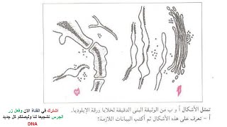 تمارين فروض واختبارات الفصل الثاني علوم طبيعية السنة الثانية ثانوي 2 ع ت | 14