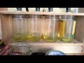 FINAL - DIY Fuel Injector Flow Bench Tester 4 Injector Test Bank Part 4 Done FINAL - DIY Fuel Injector Flow Bench Tester 4 Injector Test Bank Part 4 Done