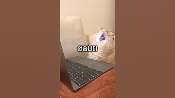 엔트리vs스크래치 #엔트리 #엠티 #코딩 #스크래치 #둣교