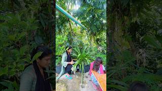 সবাই মিলে ছাদবাগান পরিস্কার করলাম part 01 || #chadbagan #gardening #rooftopgarden #ytshorts #reels