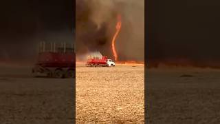 ¡Agricultores lanzando tornados de fuego! #tractor #temporadadecosecha #incendio