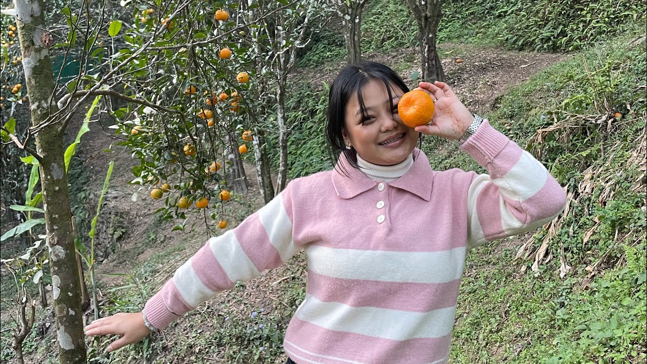 Wonderful tour in Sittong Orange Garden with Didi Vinaju🍊👌//Such a Magical Place 😘❤️