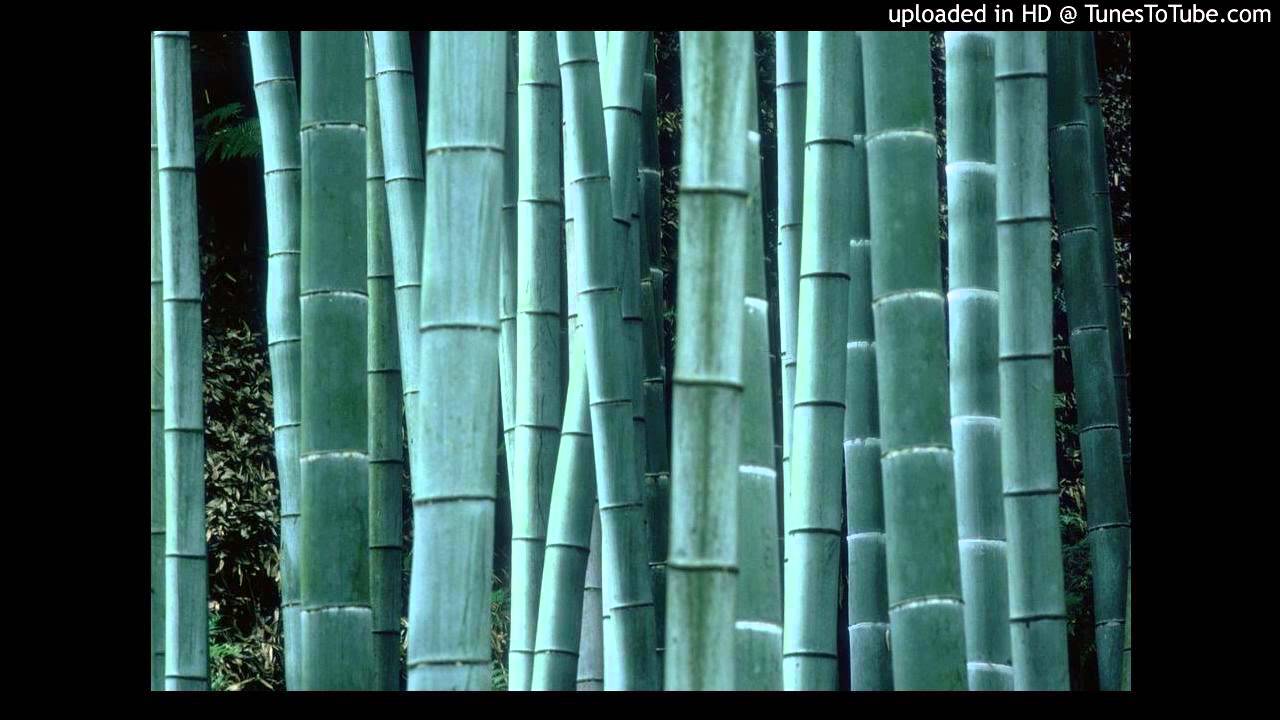 Afro Cube - Muevete Mama (Tom Flynn Strictly Rythms Edit)