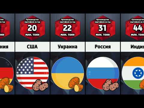 Ведущие страны мира