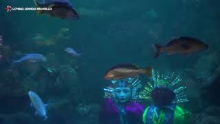 Ondel Ondel Betawi Underwater ~ Ondel2 Sea World Ancol