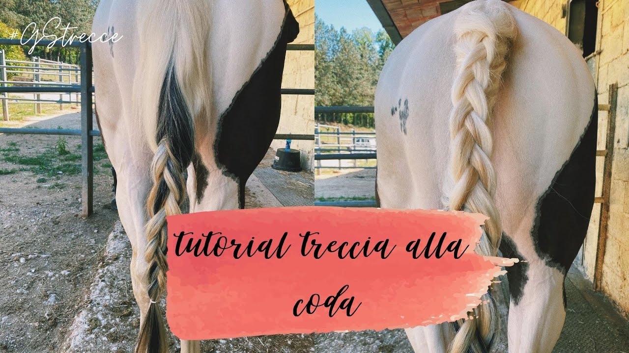 TUTORIAL TRECCIA ALLA CODA 🥰 ep.4 ||GS||