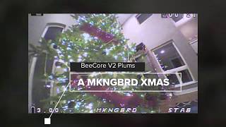 A MKNGBRD XMAS