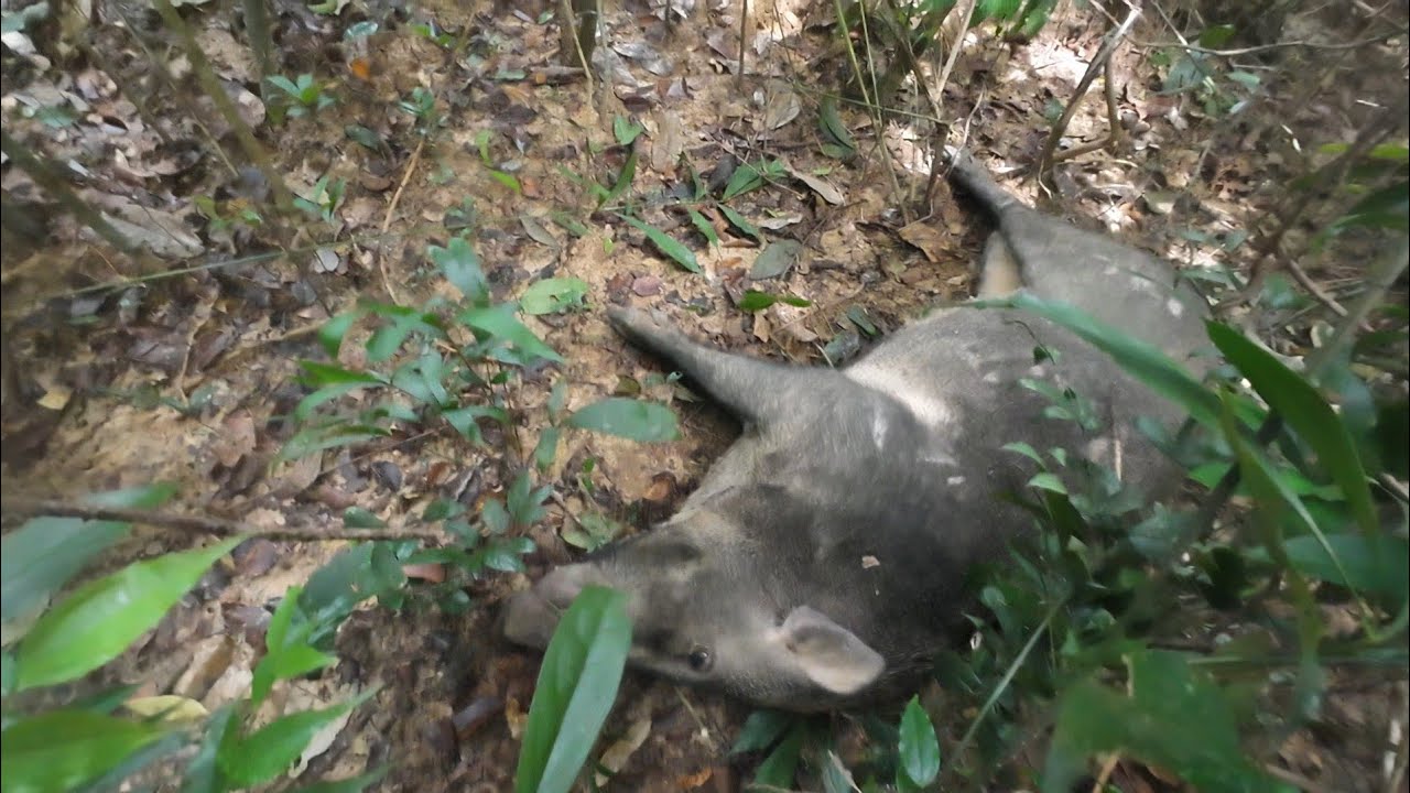 ไผเฮ็ดเพิ่น9 ตุลาคม ค.ศ. 2025