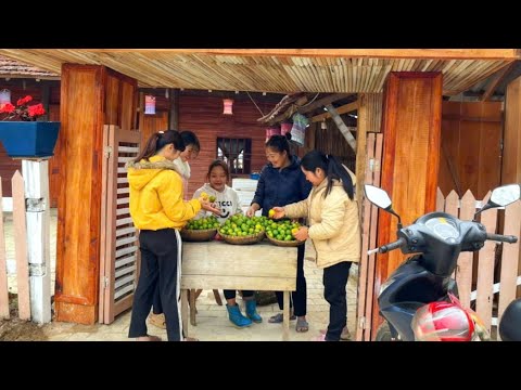 Mai harvested a bountiful lemon crop to sell and earn money to buy feed for her chickens.
