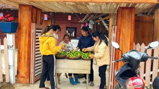 Download Lagu Mai harvested a bountiful lemon crop to sell and earn money to buy feed for her chickens. MP3