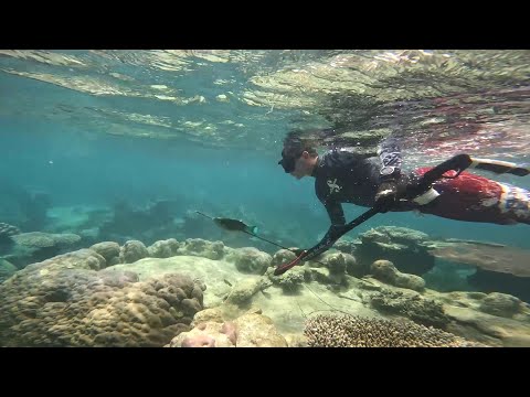 Anambas, Riau Islands, Indonesia Expedition from Singapore (with commentary)