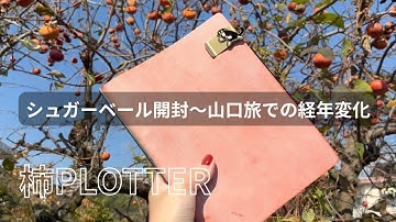 【PLOTTER】一瞬たりとも見逃せない革”シュガーベール”開封・セットアップ、1泊2日旅でのエイジング｜柿プロッター
