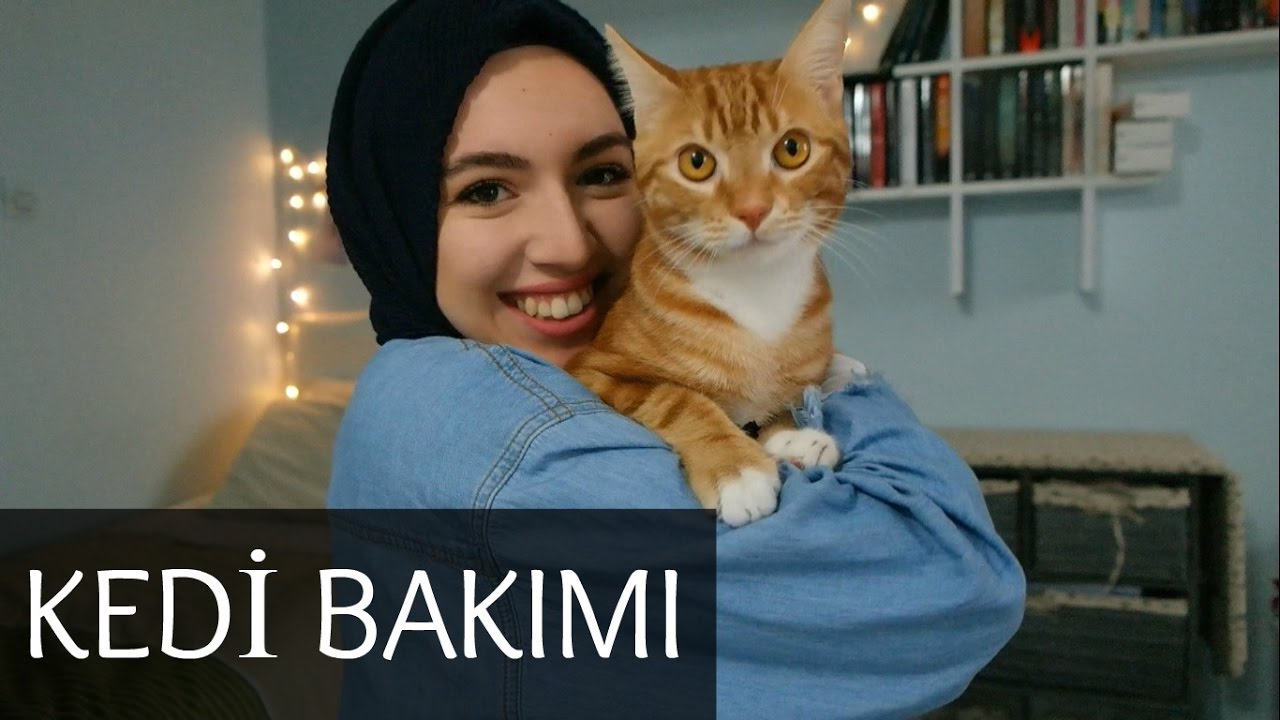 kedi bakimi zor mu nereden aldik annemin tepkisi asli afsaroglu youtube