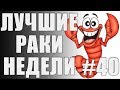 ЛРН выпуск №40. МЯГКОБУЛОЧНЫЙ КОЛОБАНОВ и УТОПЦЫ [Лучшие Раки Недели]