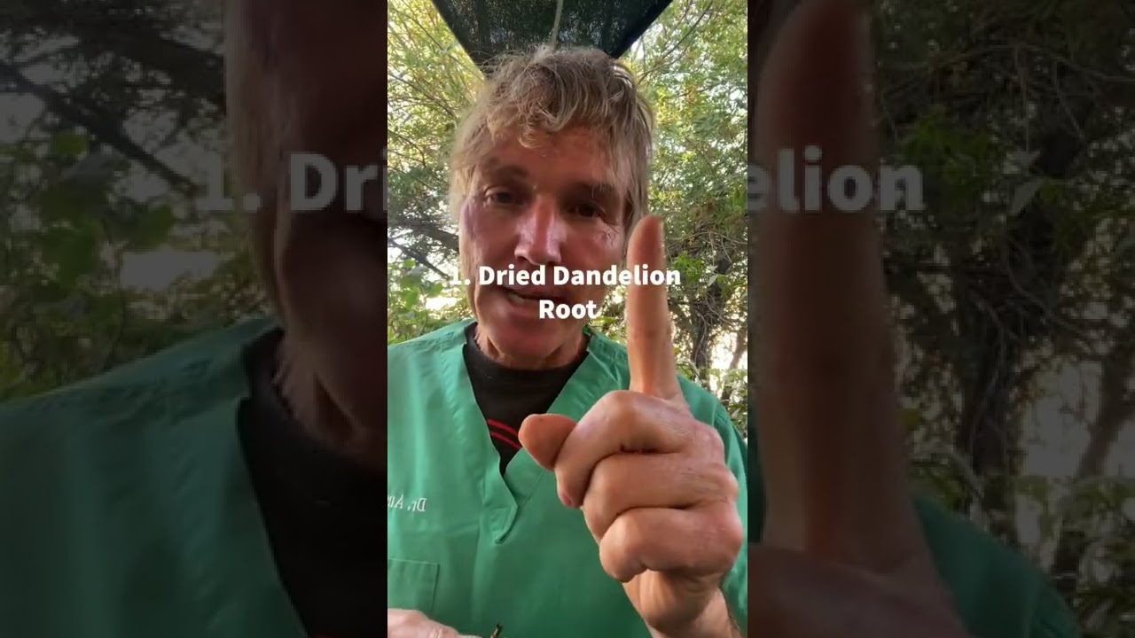 National Dog Cancer Awareness Month: Great New Dog Cancer Remedy!