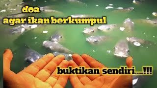 doa pemanggil ikan II pemaser dan pemancing silahkan mencoba..ampuh.