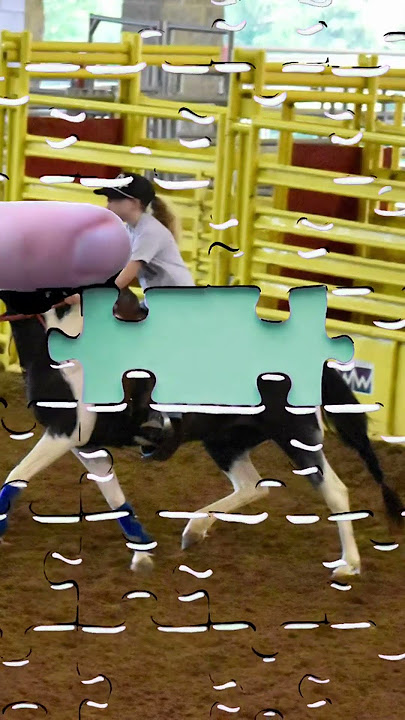 52421491211373090