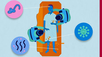 ICRC Forensics training | Chapter 3: Health and Safety